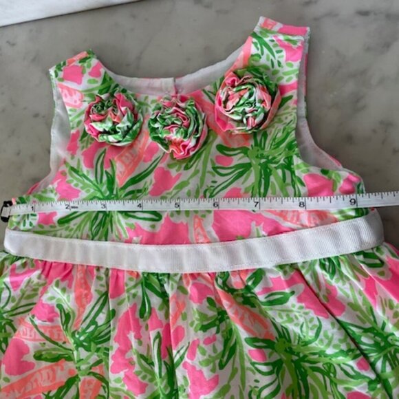 LILLY PULITZER Nibbles Carrot Bubble Dress 3-6 Months - Picture 11 of 14